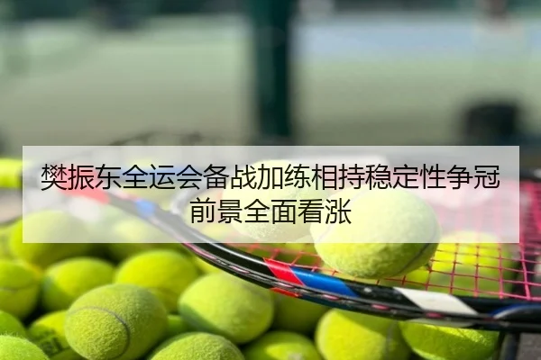 樊振东全运会备战加练相持稳定性争冠前景全面看涨
